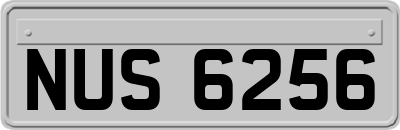 NUS6256