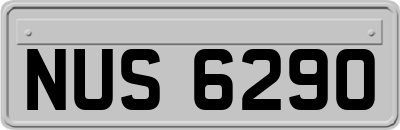 NUS6290