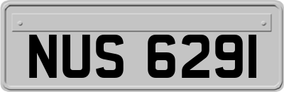 NUS6291
