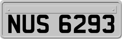 NUS6293