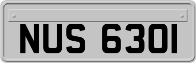 NUS6301