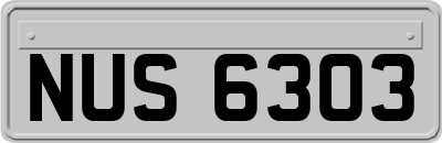 NUS6303