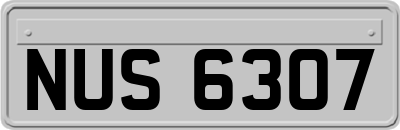 NUS6307