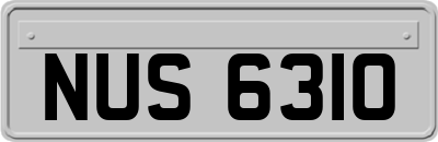 NUS6310