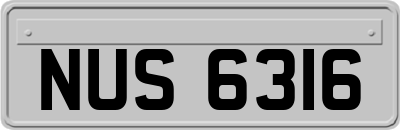 NUS6316