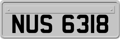 NUS6318