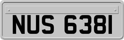NUS6381