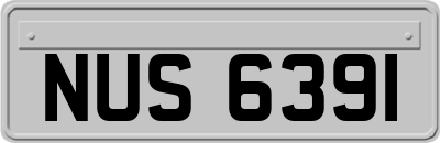 NUS6391