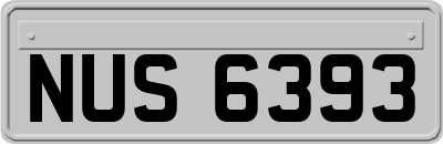 NUS6393