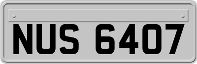 NUS6407