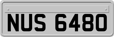 NUS6480