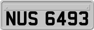 NUS6493