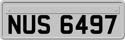 NUS6497