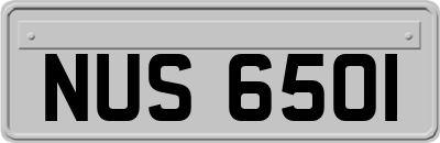 NUS6501