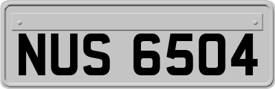 NUS6504