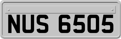 NUS6505