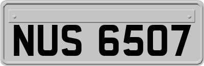 NUS6507