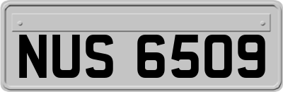 NUS6509