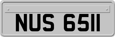 NUS6511