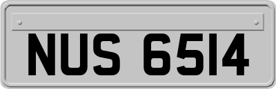 NUS6514