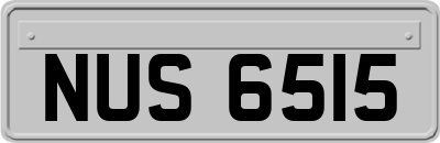 NUS6515