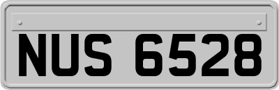 NUS6528