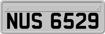 NUS6529