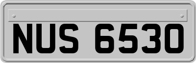 NUS6530