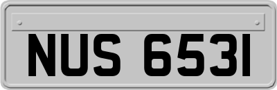 NUS6531