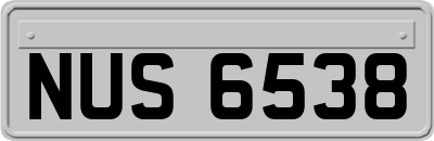 NUS6538