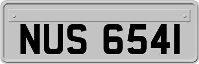NUS6541