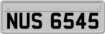 NUS6545