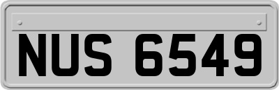NUS6549