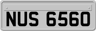 NUS6560