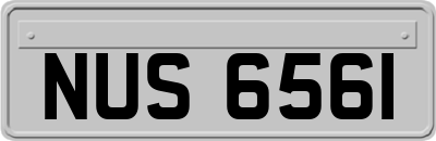 NUS6561