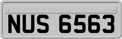 NUS6563