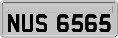 NUS6565