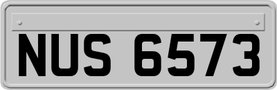 NUS6573