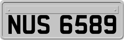 NUS6589