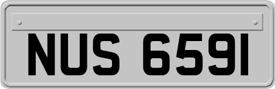 NUS6591