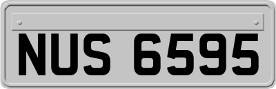 NUS6595