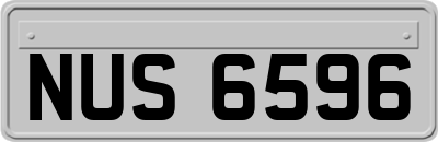 NUS6596