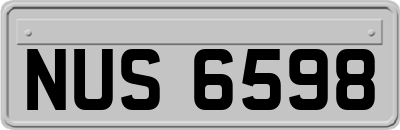 NUS6598