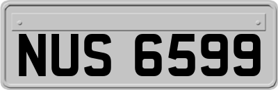 NUS6599