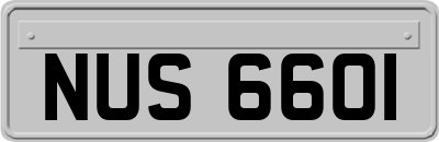 NUS6601