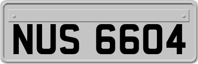 NUS6604