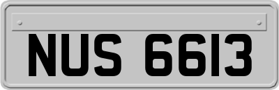 NUS6613