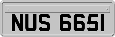 NUS6651