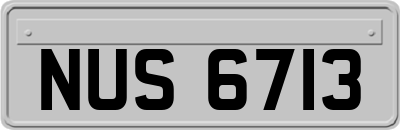 NUS6713