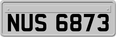 NUS6873